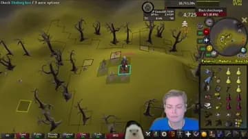 Dino on Gnom