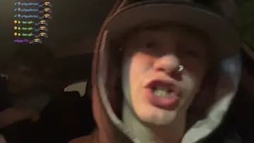 pichea