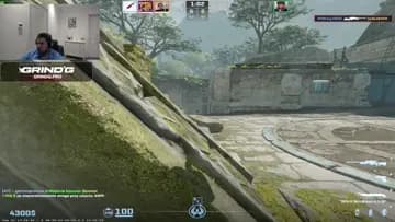 xd