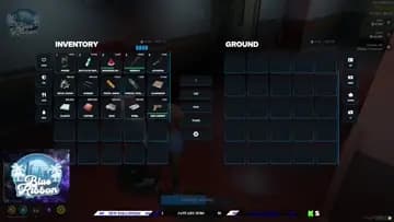 missing pistol