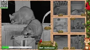 Dinner Time!