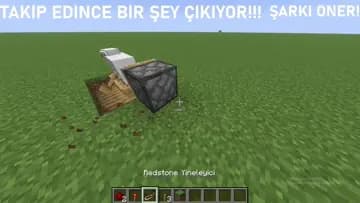 KOYUNCUK