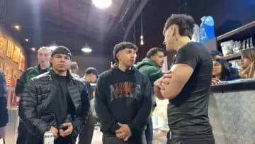 Dl
