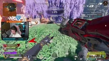 what the bush do?