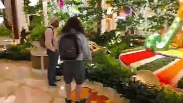 Flowers Casino