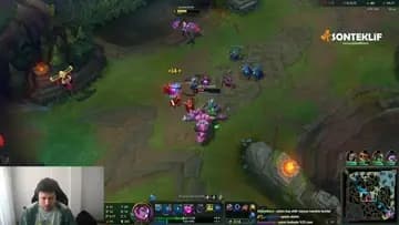 nice flash