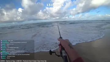 Sea Eagle Snags The Big Dart Thrown Back