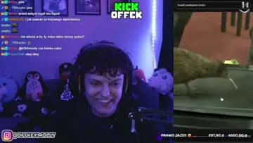 ptak kiwi