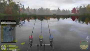 snipes