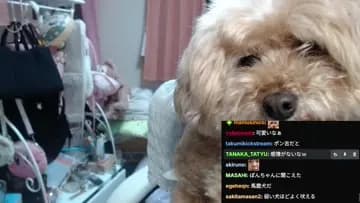 🚀しゅごい！！！