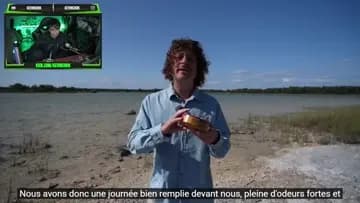 Miramos videos macumberos COMANDO | Clip