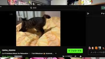 石川典行のミラー発見