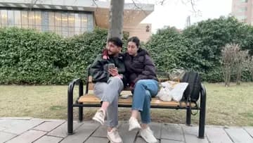 gezen tavuklar team