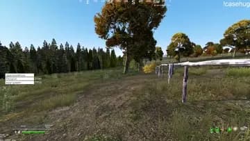 insane