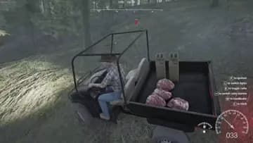 bear hit by car