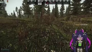 Did I say stop?