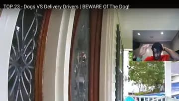 Dog breaks through glass door