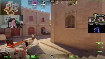 Nikom vs cacorro P5
