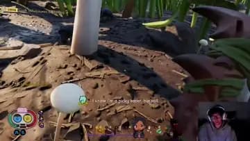 butt plug