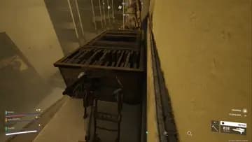 rats