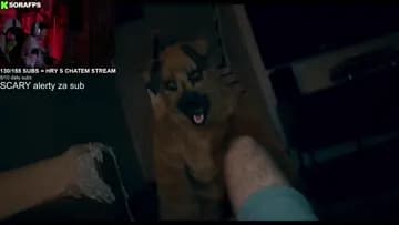 what that dog doin moveset