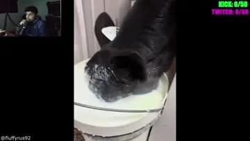 .