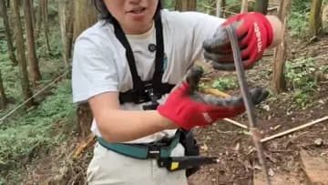 グロ注意