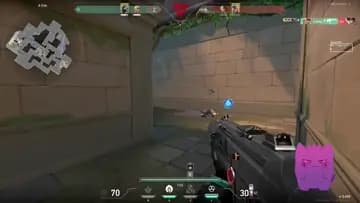 xd