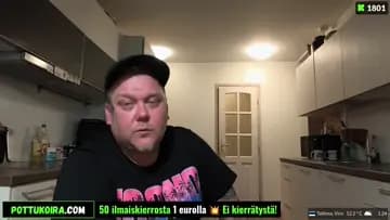 Tapetit