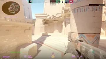 Cs bug