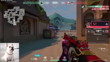 13 kills + win
