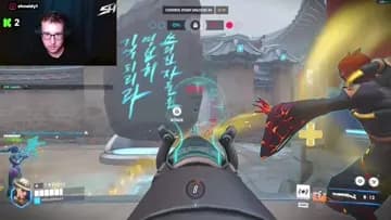opice incident shnaidy pov
