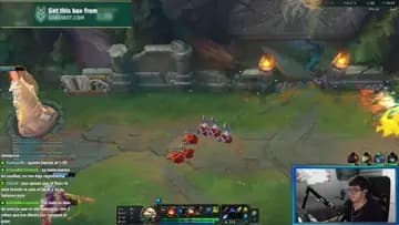 xd