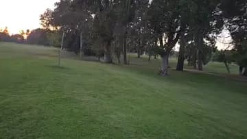OMEGALUL