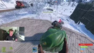 xddddd