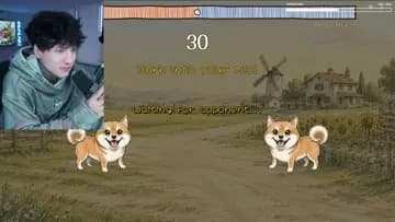 Cry perro