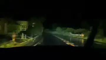 竹