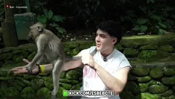 zz