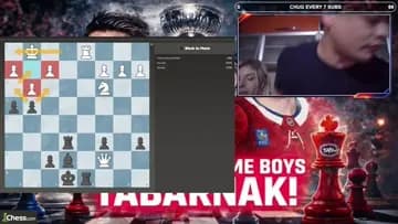 Professional Streamer