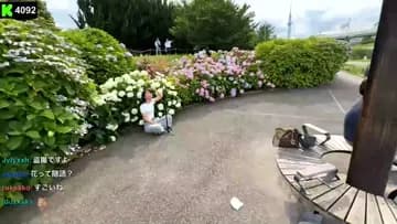 紫陽花バック