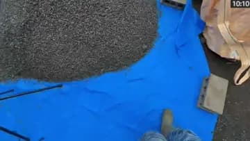 テマキ村のキノコ