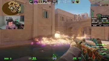Nikom vs cacorro P7