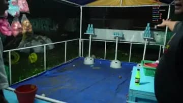 bobo