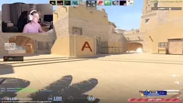 spray falan