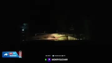dojechali do bazy