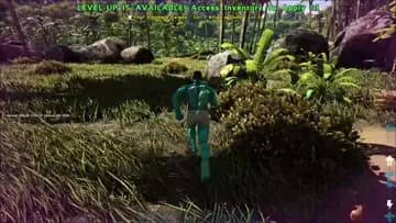 THEM BUSHES