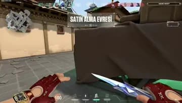 GAYSENSE