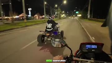 Clips