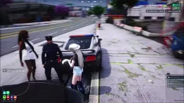 mal polis