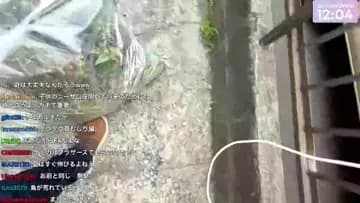 FXだよ